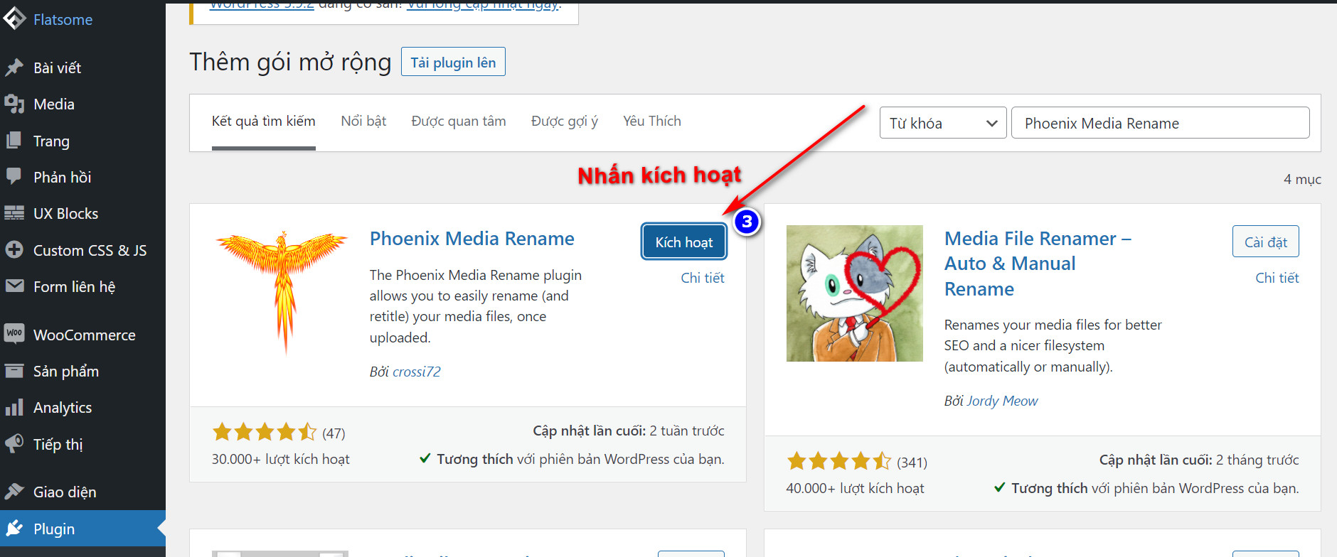 Cách thay đổi tên hình ảnh trong Wordpress nhanh chóng - Hiệu quả 4 Kích hoạt plugin thay đổi tên file hình ảnh trong wordpress