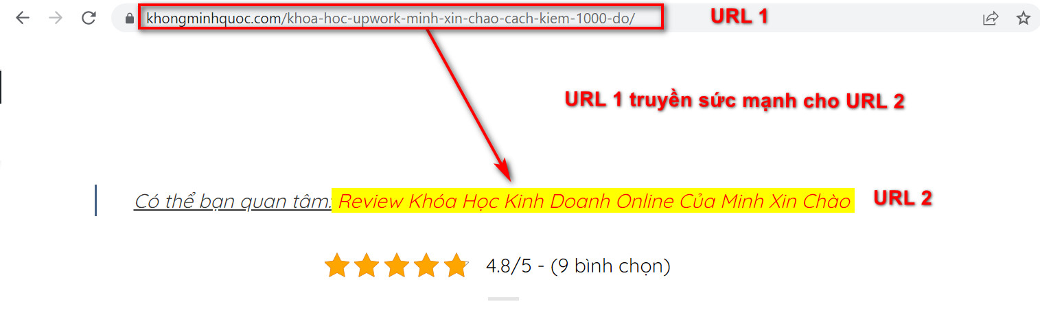 Cách Viết Bài Chuẩn SEO Trên Website Wordpress - Rank Math SEO 12 URL 1 truyền sức mạnh cho URL 2