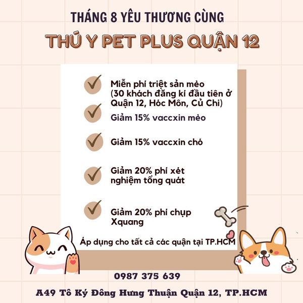 Top 5 Mẫu Content Quảng Cáo Phòng Khám Thú Y Hút Khách Nhất 6 Mẫu content quảng cáo phòng khám thú y 5