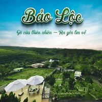 Mẫu content bất động sản - Bảo Lộc